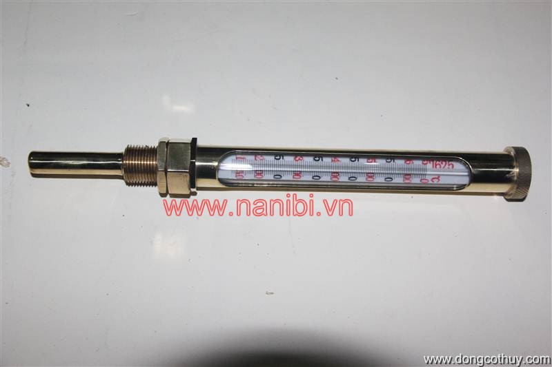 Thước đo nhiệt độ khí xả 6170