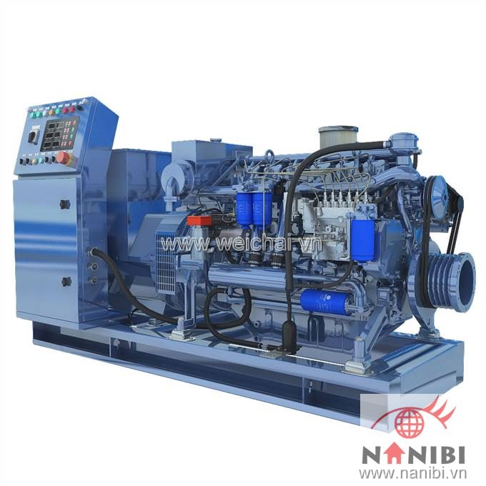 Máy phát điện thủy CCFJ100J-W