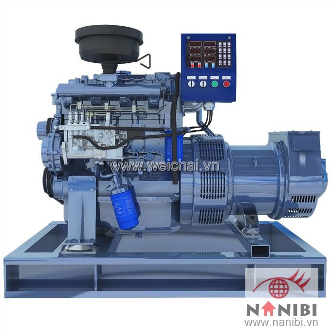 Máy phát điện thủy CCFJ16J-W2